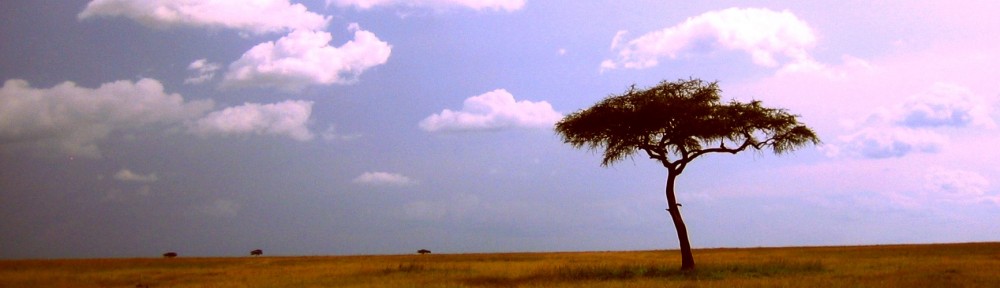 Adventures in the Making!